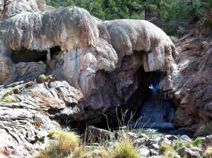 A sight to see, smell, and hear.