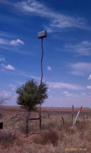 Long reach to deliver and retrieve the mail.