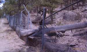 A tree crashes through a fence.