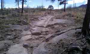 Well worn ruts in the trail.