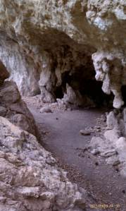 Nature's architecture in McKittrick Canyon.