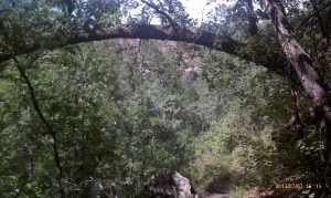 Good luck granted to those who hike under it.