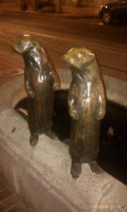 Something has their attention.