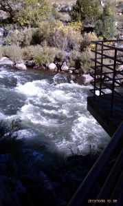 An overlook above the turmoil of the white water.