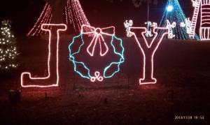 Joy at the Marble Falls Walkway of Lights.