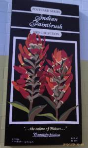 The fourth wildflowers panel features Indian Paintbrush.
