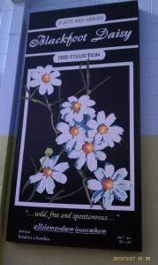 The fifth wildflowers mural features Blackfoot Daisy.