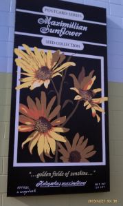 The sixth wildflowers mural features Maximillian Sunflowers.
