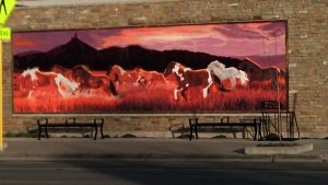 Horses on the range.
