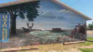 A wildlife overlook.