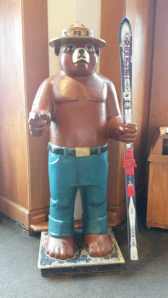 Narrow skis for such a big bear.