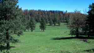 Burnt scar and green valley.