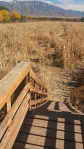 See the maze and the mountains.