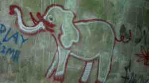 An elephant, imagine that.