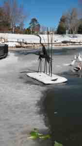 Ducks and geese among the cranes.