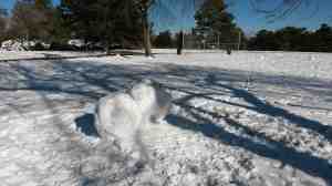 The makings of a snow man.