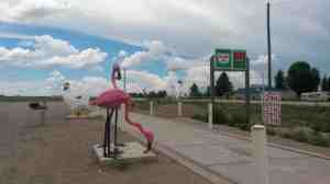 Birds of a feather bound by leg irons.