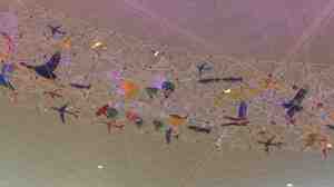 Traveling in circles.