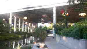 A display of flying fish.