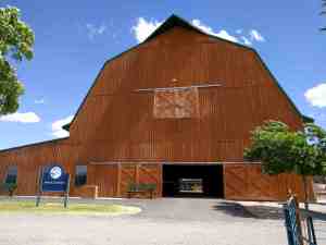 Visit the horse and cattle barn.