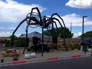 Who is afraid of spiders?