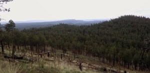 Mesas in the distance.