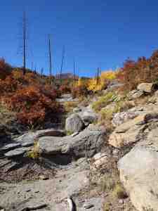 A little canyon full of gold.
