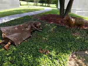 A peaceful afternoon.