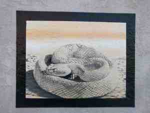 Beware of the snake!