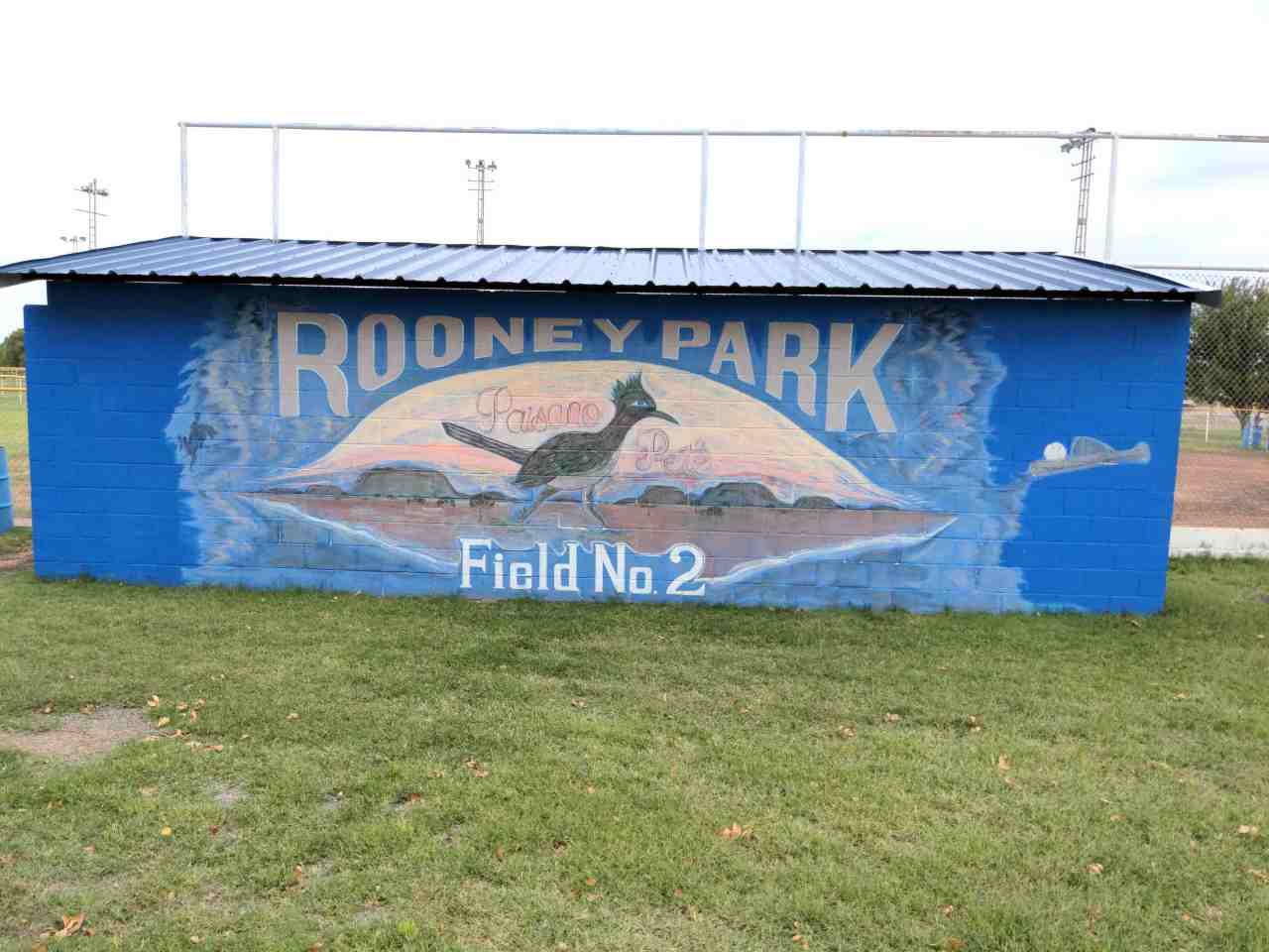 A famous bird of the area.