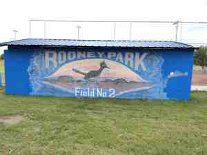 A famous bird of the area.