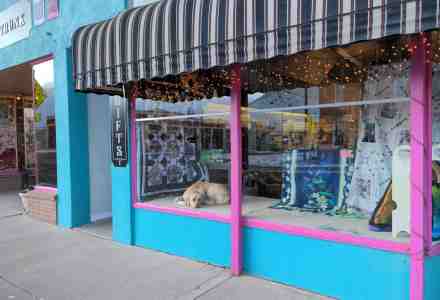 Dog is napping in a store front window.