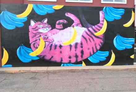Mural of cat lying on back, sleeping or floating among yellow and blue bananas.