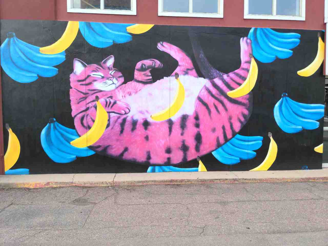 Mural of cat lying on back, sleeping or floating among yellow and blue bananas.